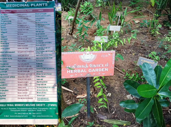 Herbal garden — EPIC SS Padur