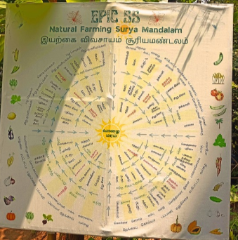 Natural farming — EPIC SS Padur